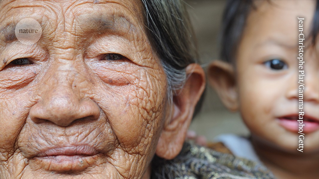 This method to reverse cellular ageing is about to be tested in humans