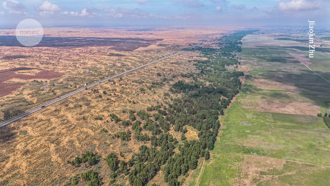 Can China's Great Green Wall shape efforts to keep the world's deserts at bay?