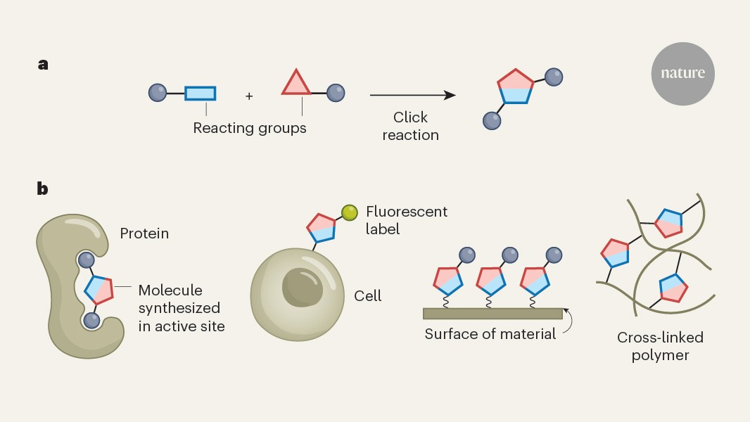 25 years of chemistry that simply clicks