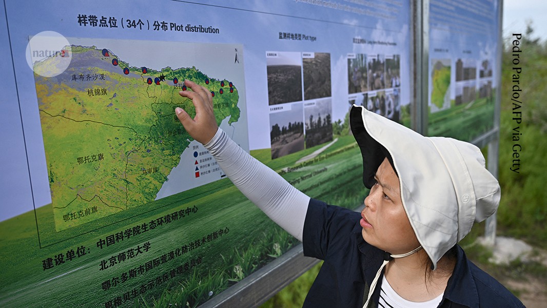 What China’s Great Green Wall can teach the world
