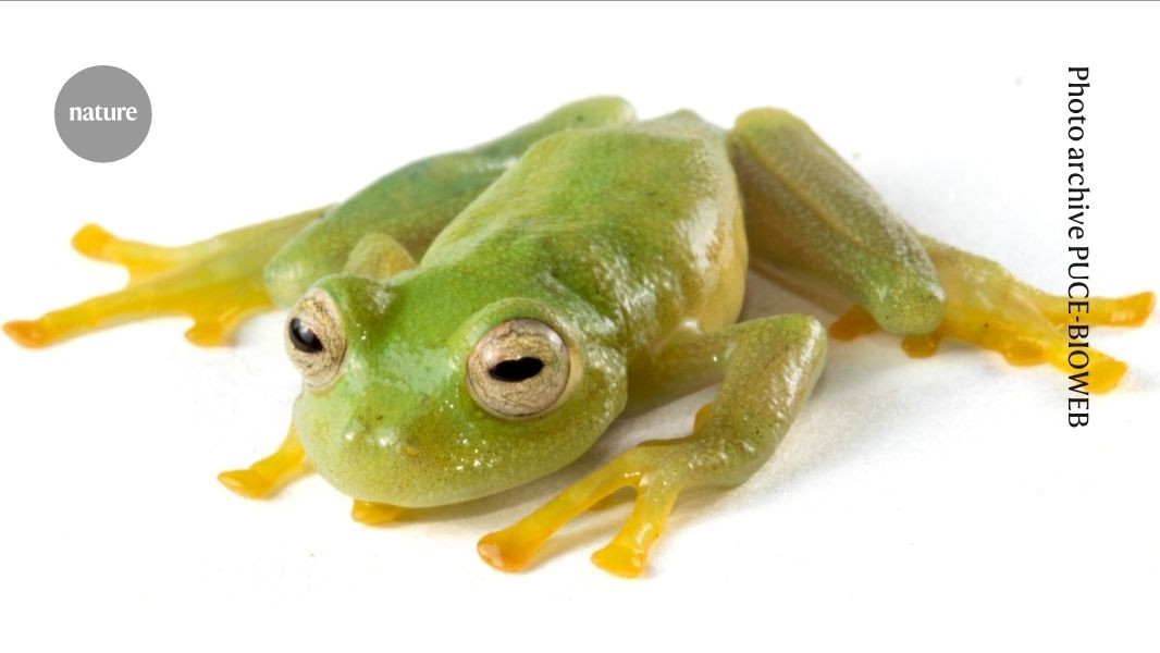 media.nature.com image
