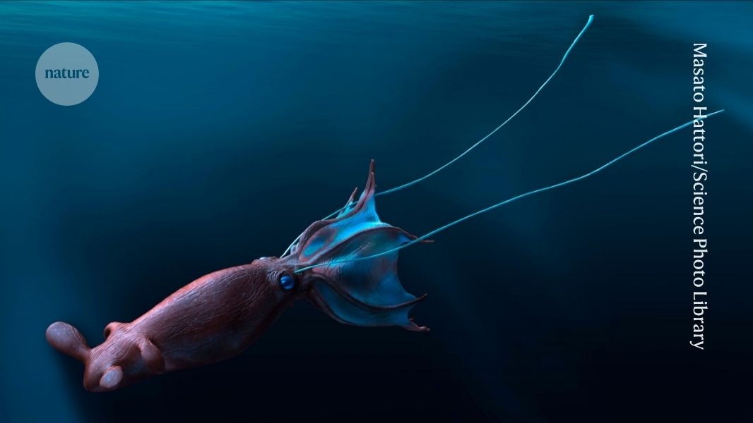 media.nature.com image