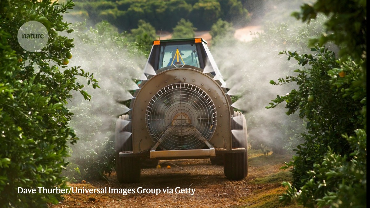 Antifungal resistance is growing – will new treatments turn the tables?