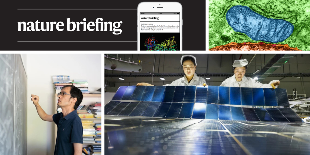 Daily briefing: AI forces us to rethink maths, says Fields medallist
