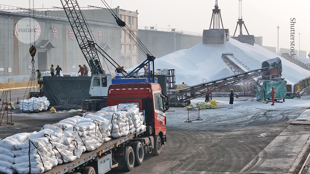 How fertilizer shortages caused by the energy crisis threaten food security
