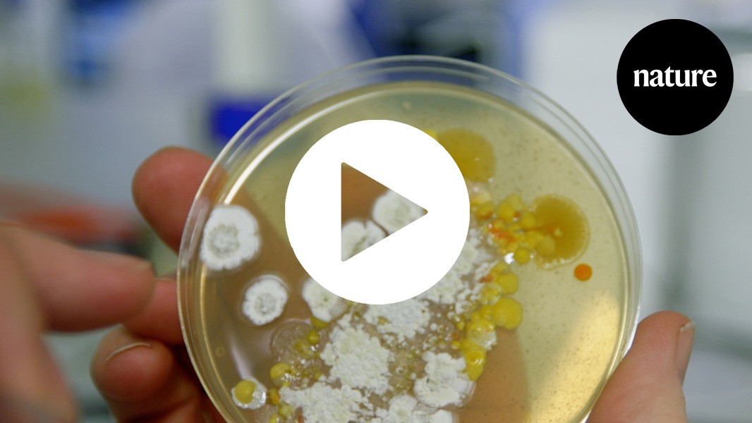The hunt for the next antibiotics
