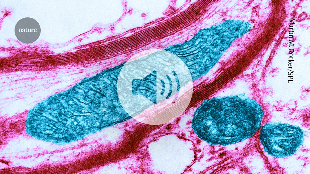 media.nature.com image