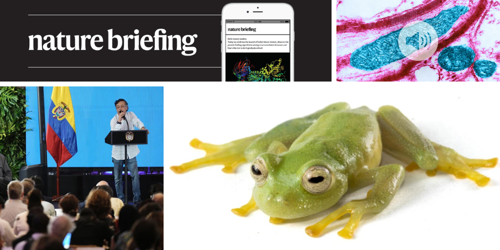 Daily briefing: Five inspiring science stories to lift your mood
