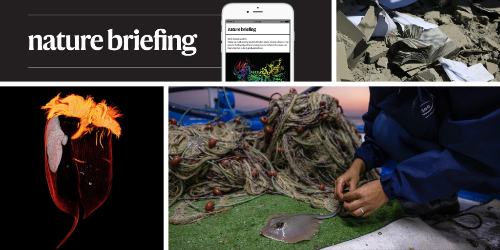 Daily briefing: Who needs testosterone therapy?