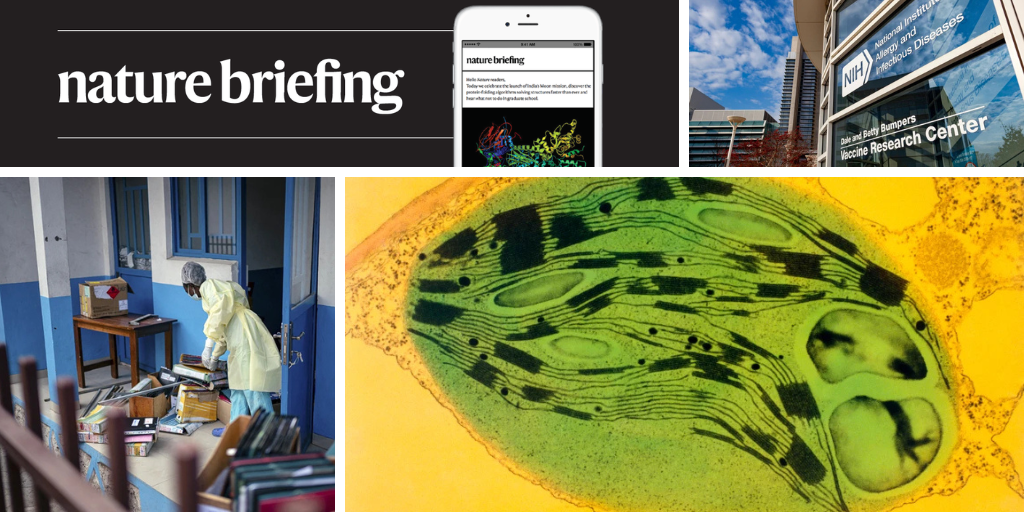 Daily briefing: Mouse eyes can photosynthesize after a plant-to-animal transplant