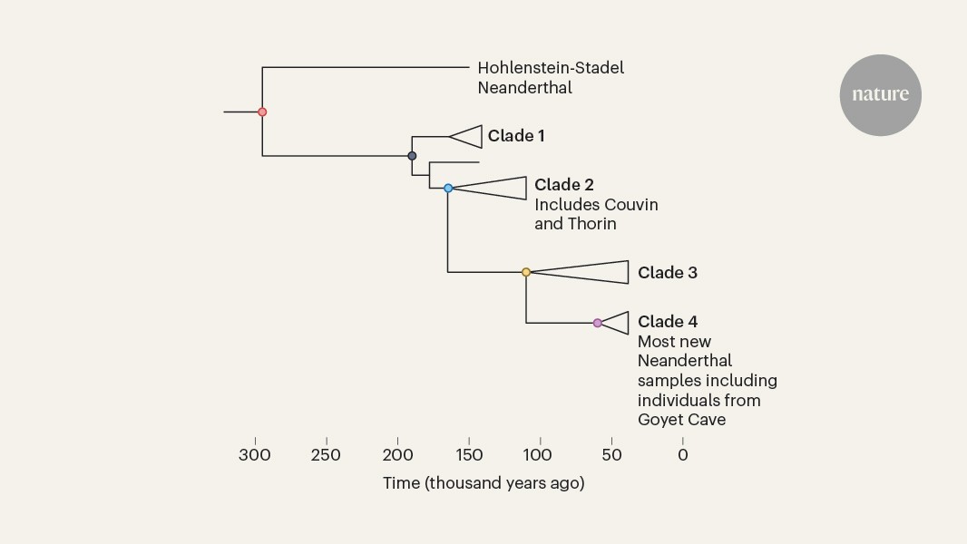 Genomic insights into the population dynamics and demise of Neanderthals