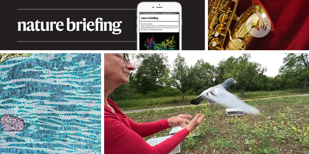 media.nature.com image