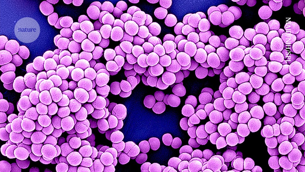 AI is taking on antibiotic resistance " here's how