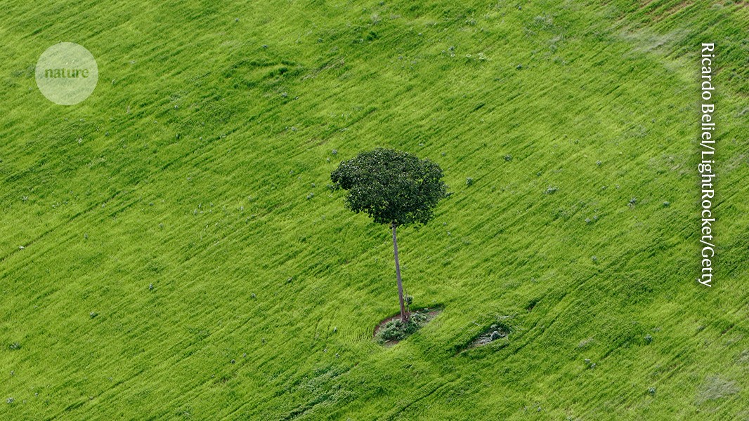 The Amazon can be saved — with concerted action inside and outside Brazil