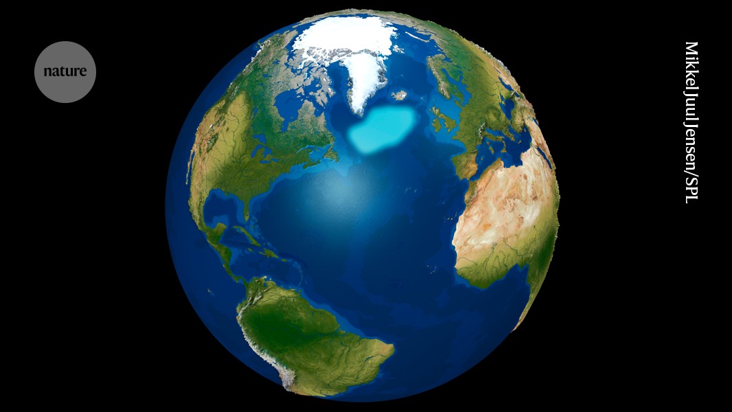 media.nature.com image