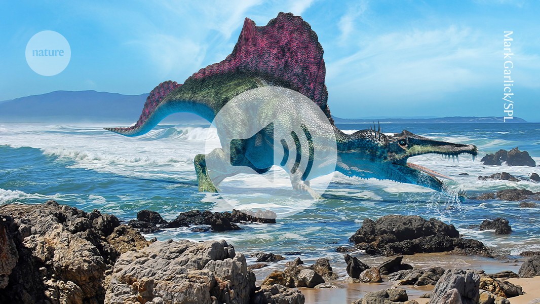 Spinosaurs with Salt Glands: Breakthrough Marine Link