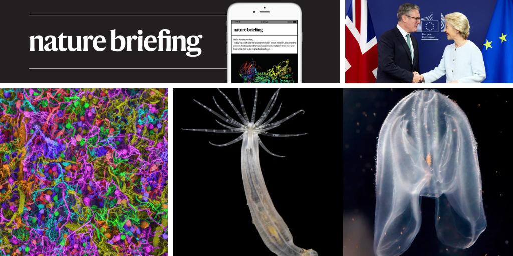 Daily briefing: The brain builds a sentence neuron by neuron