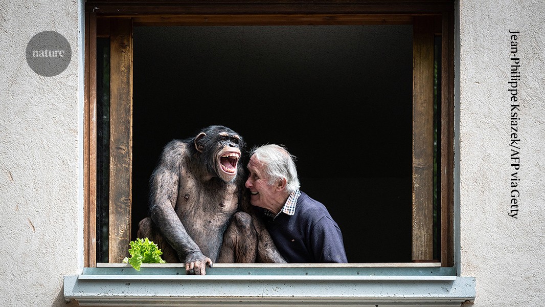 Humans and great apes giggle alike when tickled — laughter roots trace back 15 million years