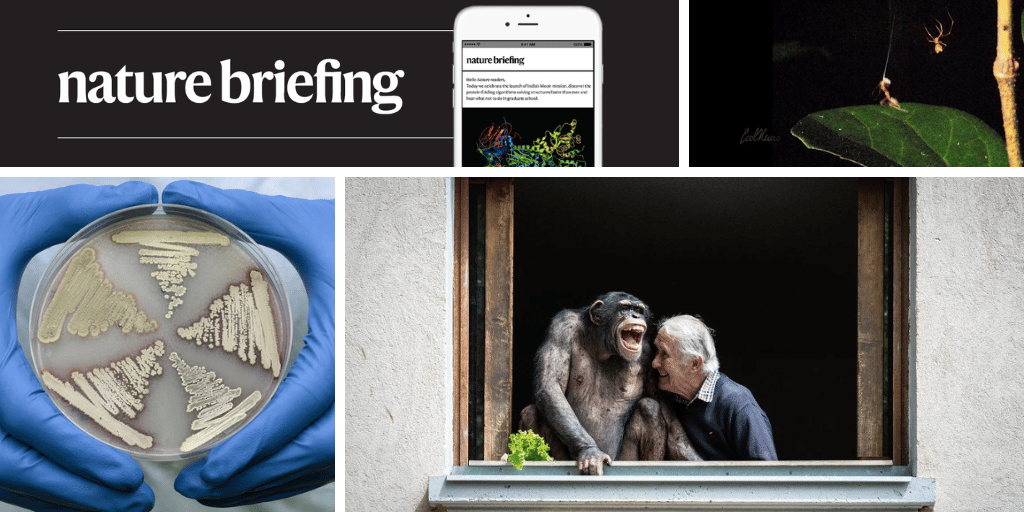 Daily briefing: Humans and great apes giggle in the same rhythms