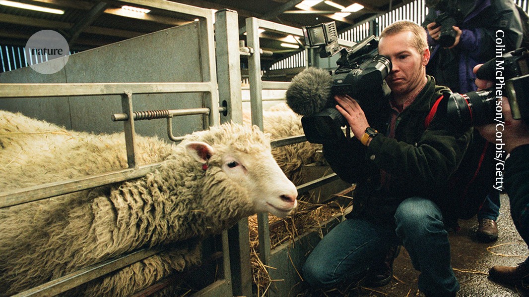 Dolly the Sheep's Legacy Still Shapes Reproductive Technology Debates