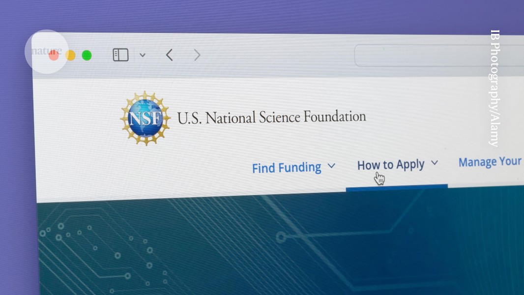 NSF plans cuts to core science programmes to fund White House initiative