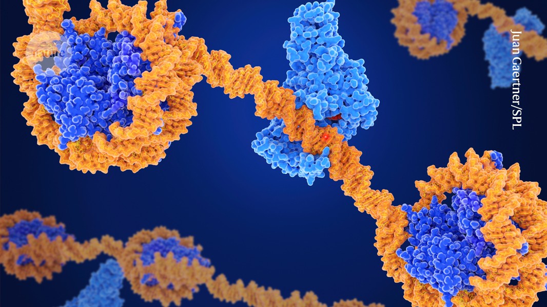 Edycja epigenetyczna: naukowcy przepisują chemiczne znaczniki DNA