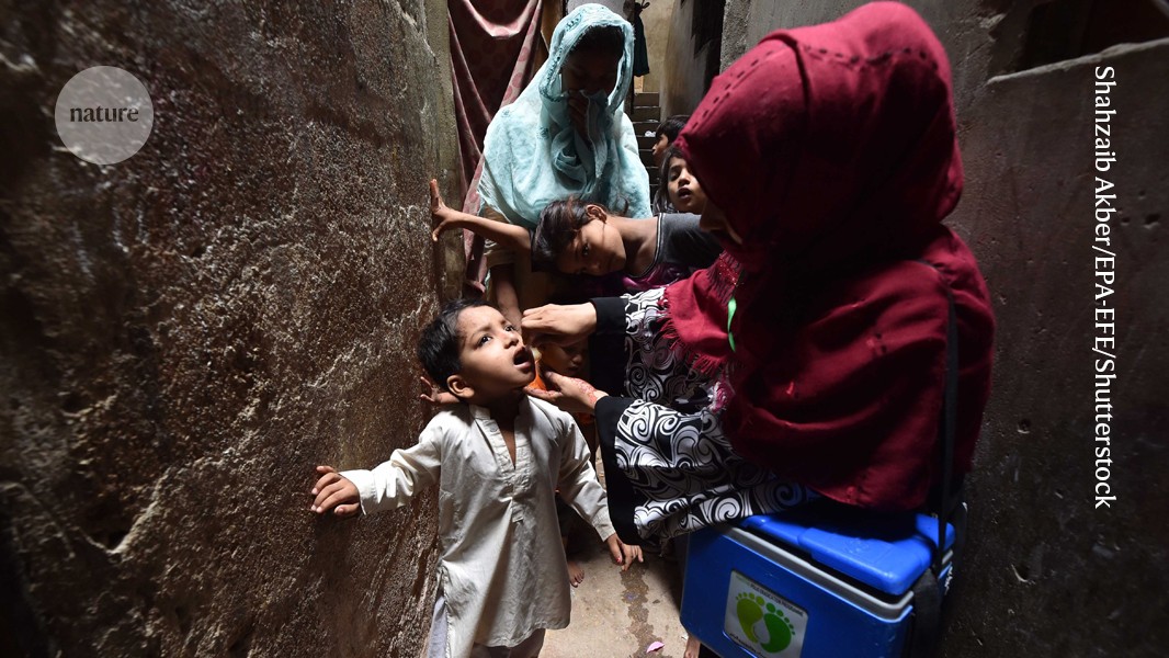 Polio eradication may be failing — researchers seek a plan B