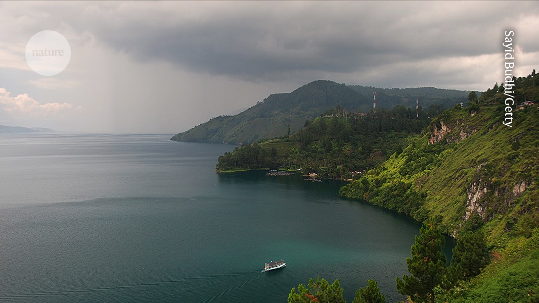 No single rule explains how climate affects carbon storage in tropical forests
