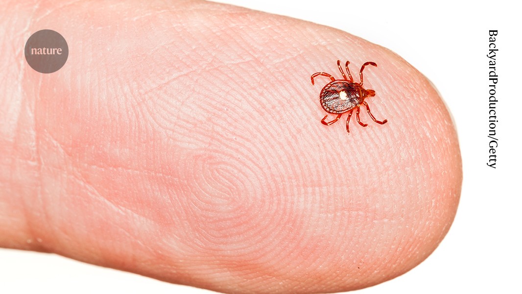 Meat allergy is on the rise — what scientists want to know