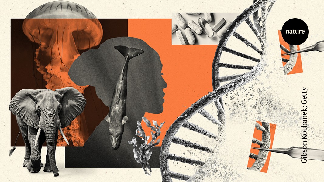 Naprawa DNA może wydłużyć życie? Naukowcy szukają odpowiedzi