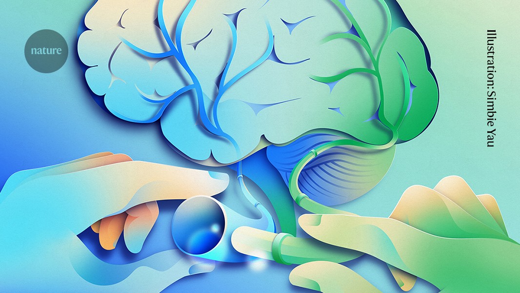 A controversial Alzheimer’s surgery is said to reverse symptoms — here’s what scientists know A controversial Alzheimer’s surgery is said to reverse symptoms — here’s what scientists know