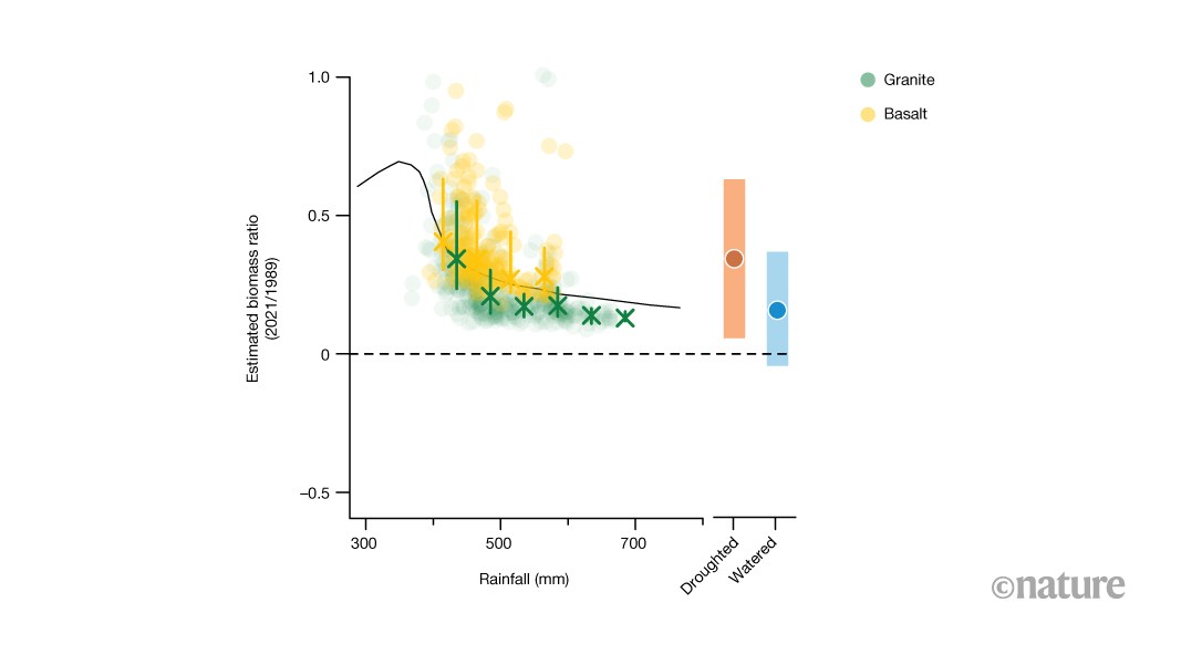 Savannah grass growth in dry conditions is boosted by increased CO<sub>2</sub> levels