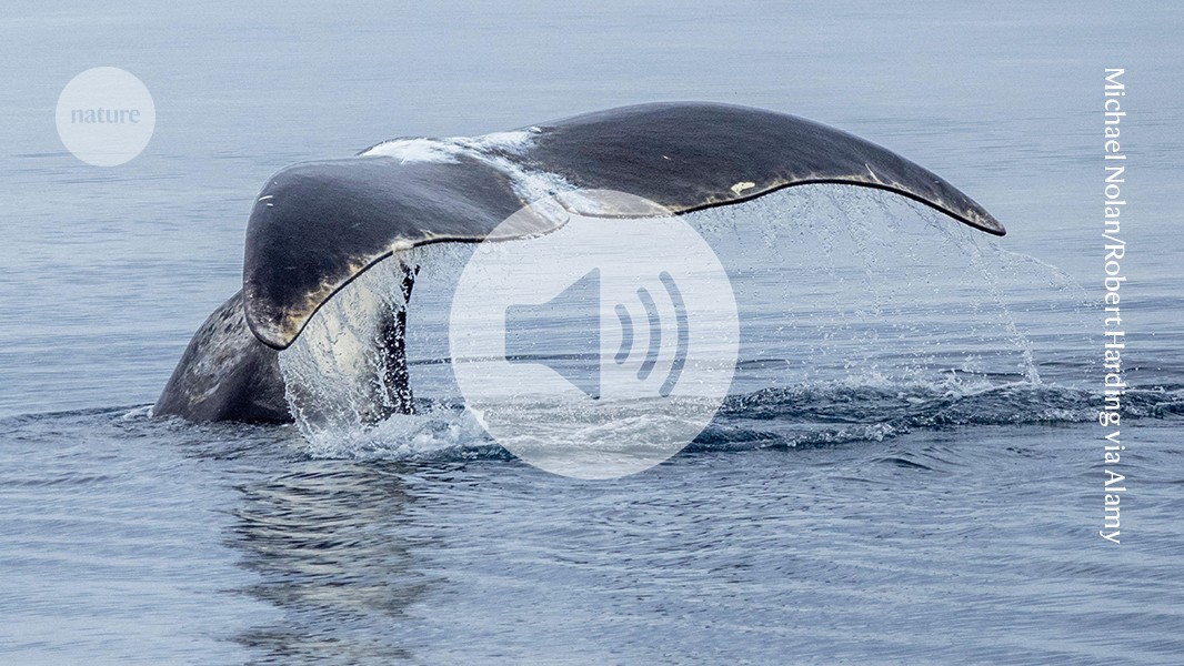 media.nature.com image