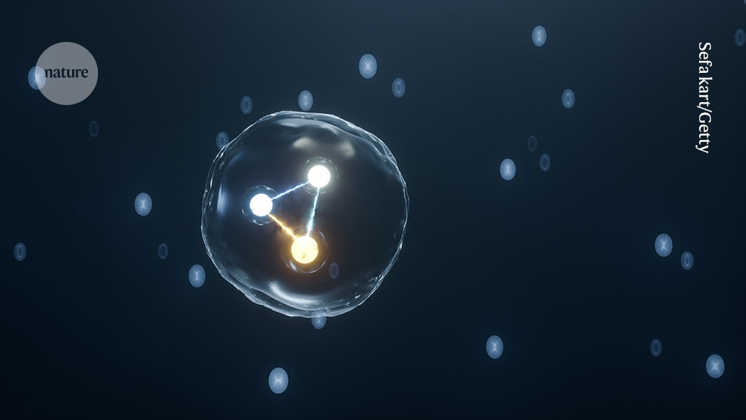 A particle made of force: physicists say they’ve found mysterious ‘glueball’