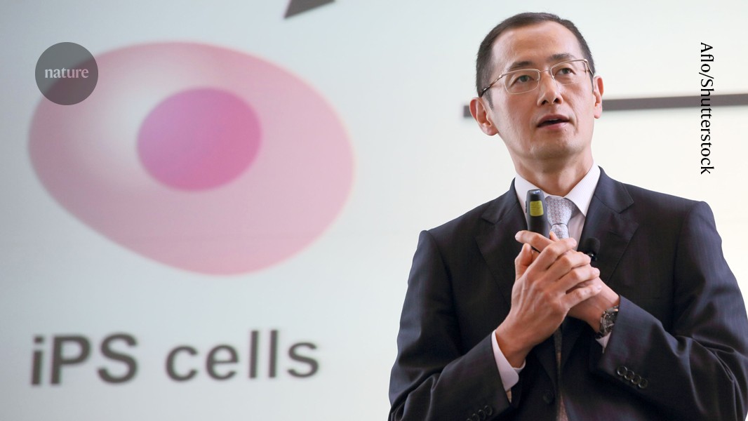 A revolutionary stem-cell therapy must proceed responsibly to achieve its full potential