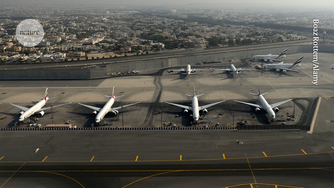 How the Middle East can become a hub for sustainable aviation fuels