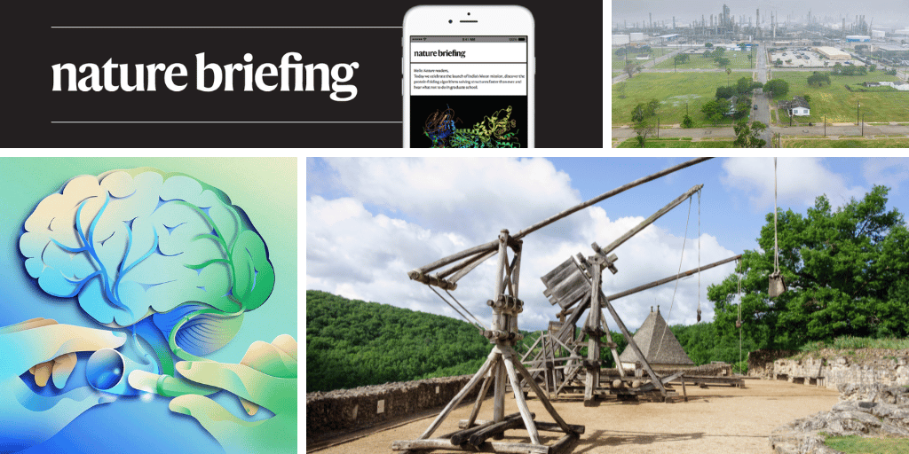 media.nature.com image