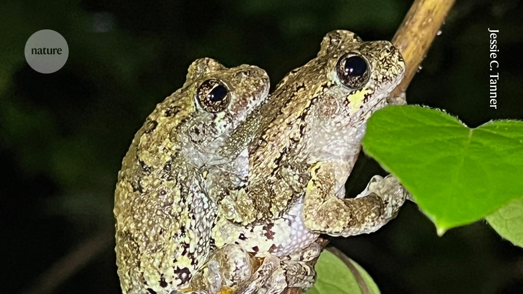 media.nature.com image