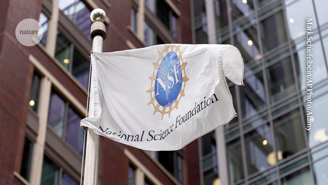 Exclusive: NSF set to issue lowest number of new grants in four decades