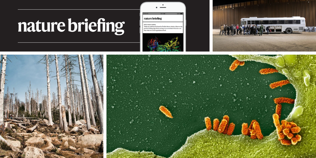 Daily briefing: Ancient rise in CO<sub>2</sub> hints at what could happen today