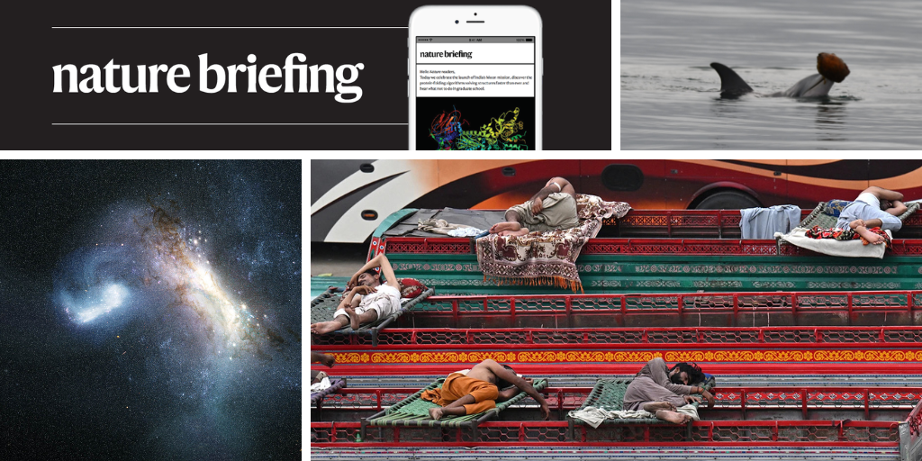 media.nature.com image