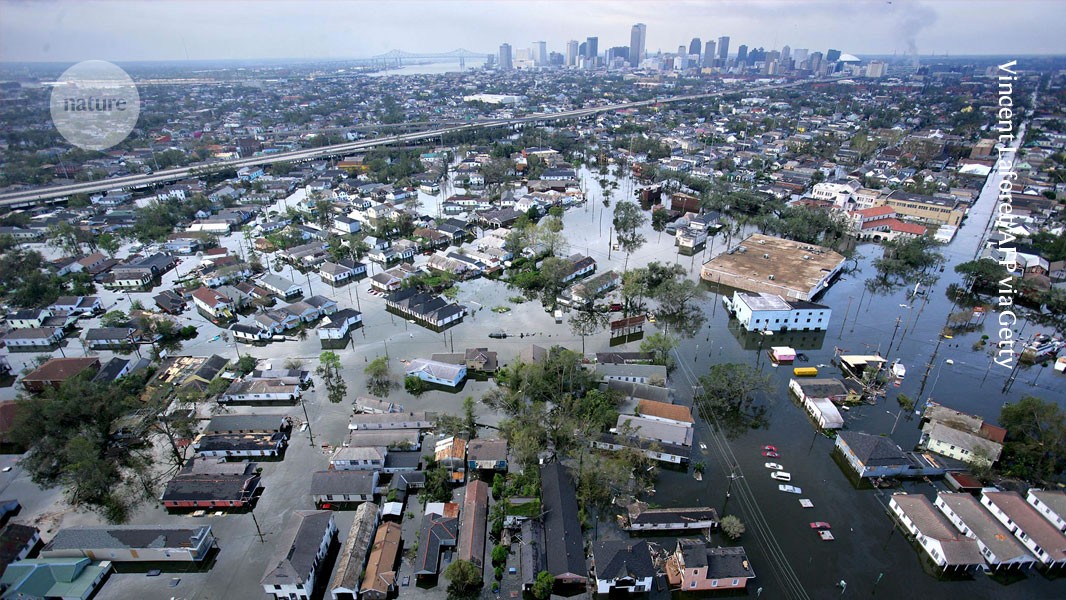Lessons from Katrina: how to rebuild academia from the ground up