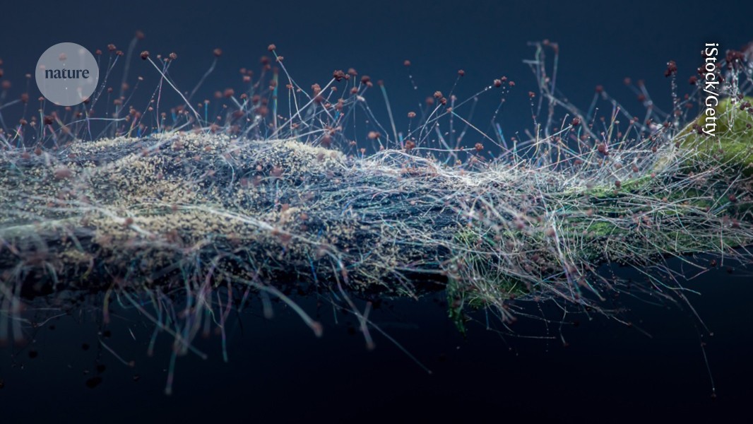 Order from disorder: do we need a new law of physics?