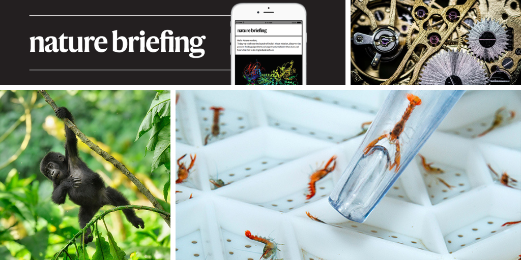 Daily briefing: The next generation of lobsters