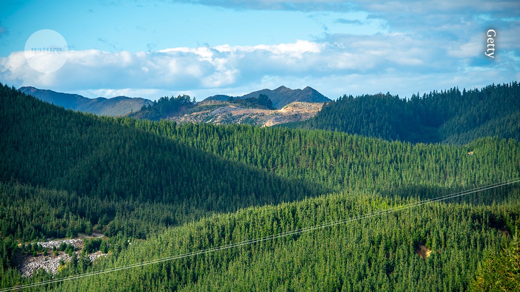 media.nature.com image