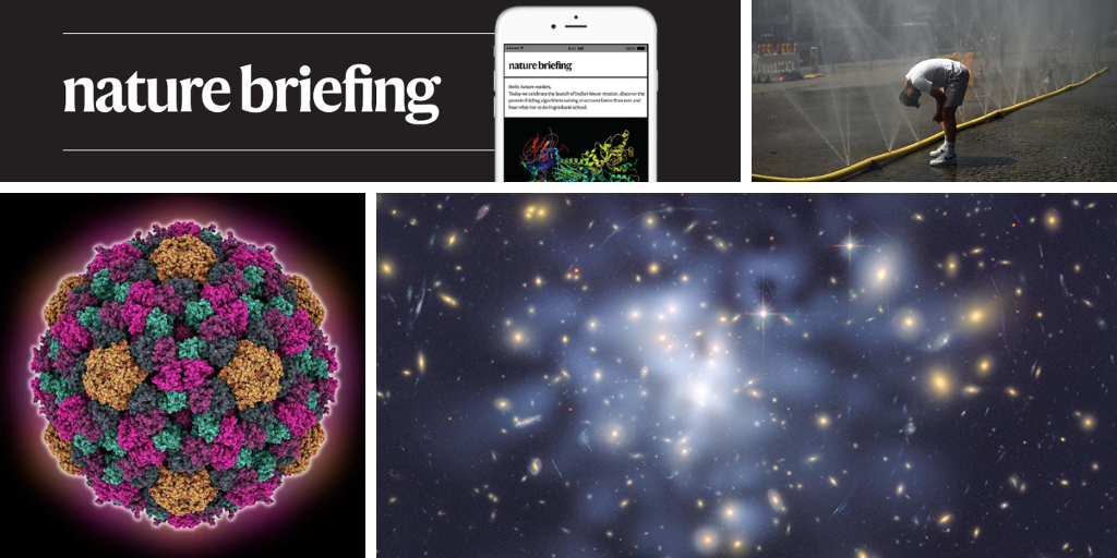 Daily briefing: A thrilling hint of dark matter discovery