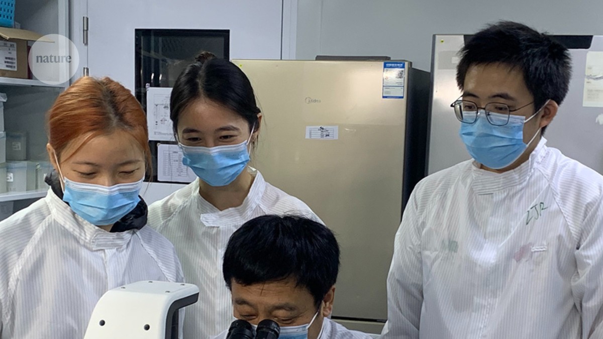 ‘Remarkably encouraging’: stem-cell treatments for autoimmune diseases enter new phase