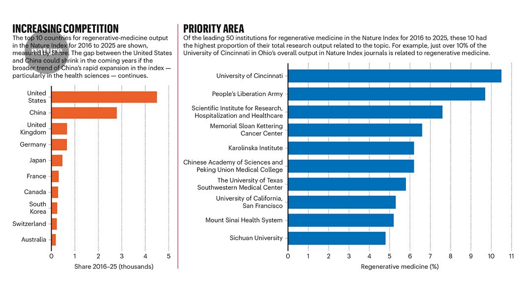 Competition heats up in the regenerative-medicine ranks
