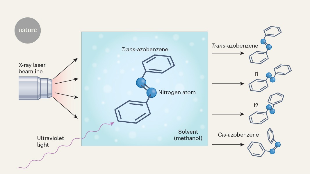 Beyond the solvent fog: watching molecules dance in the crowd