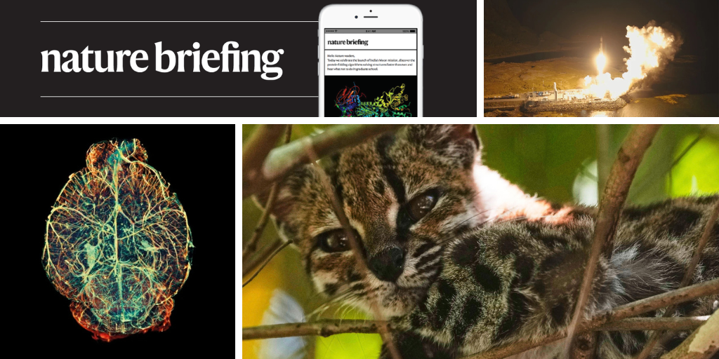 media.nature.com image